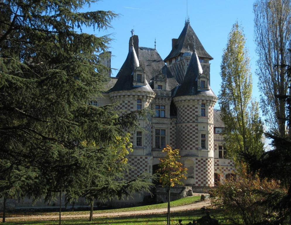 Chateau Des Reaux Chouzé-sur-Loire Exterior foto